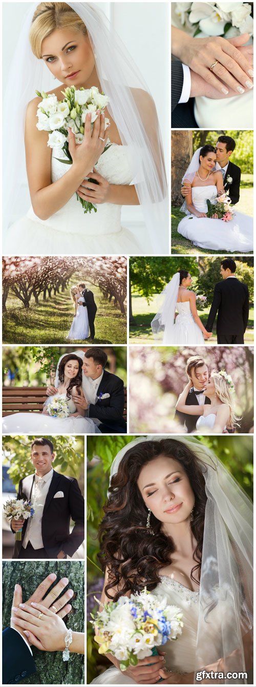 Elegant bride and groom, wedding, family