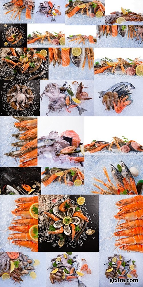 Fresh seafood on crushed ice