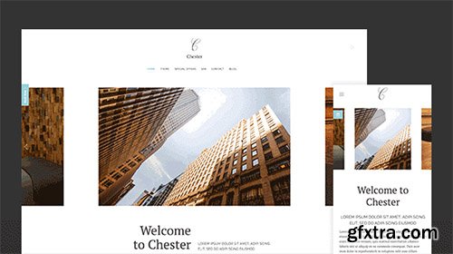 YooTheme - Chester v1.0.3 - WordPress Theme