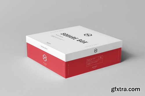 Graphicriver Square Shoe Box Mock-up 19137172