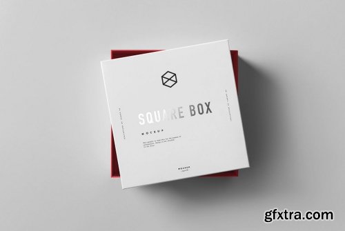 Graphicriver Square Shoe Box Mock-up 19137172