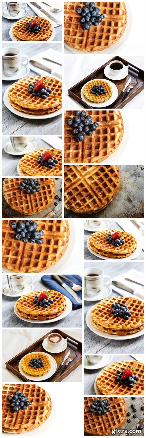 Warm Waffle Breakfast with blueberries  made in a home kitchen - 16xUHQ JPEG