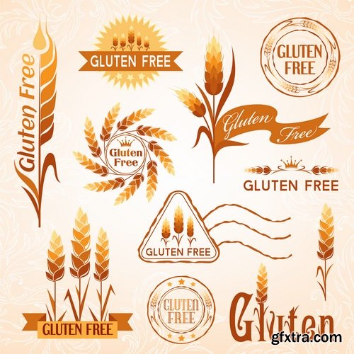 Collection of vegetable fruit sugar chocolate wheat logo sticker frame border card 25 EPS