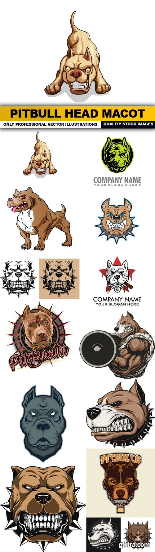 Pitbull Head Macot - 14 Vector