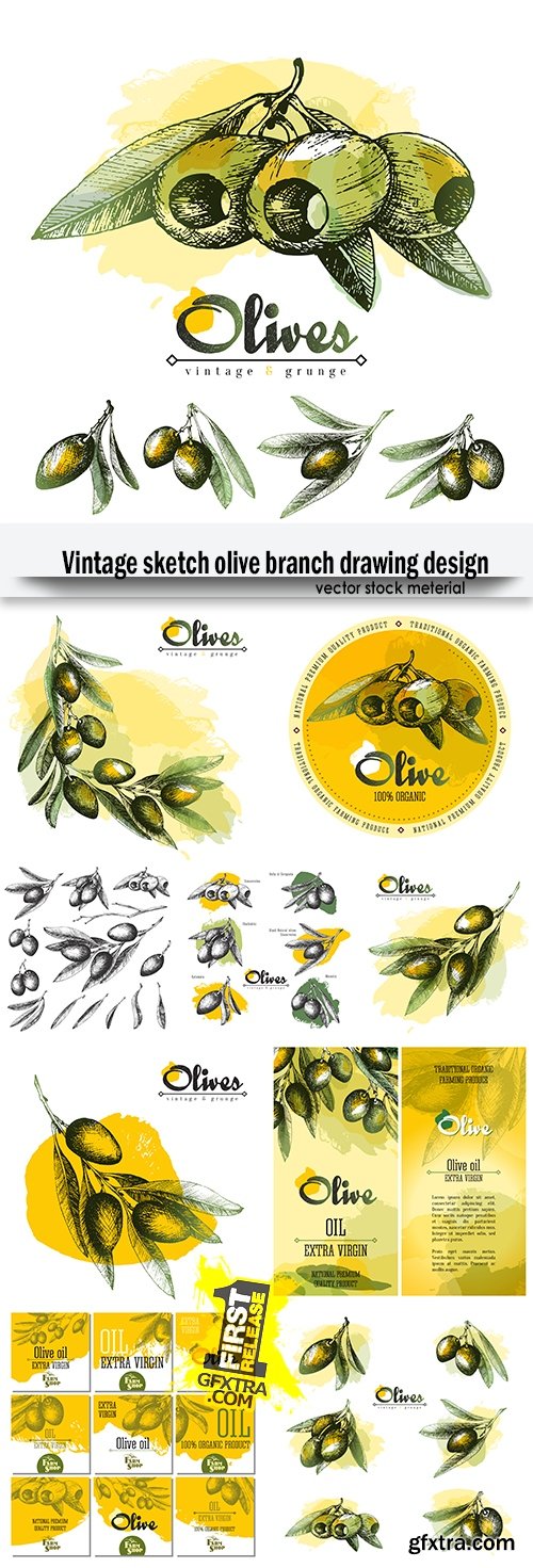 Vintage sketch olive branch drawing design