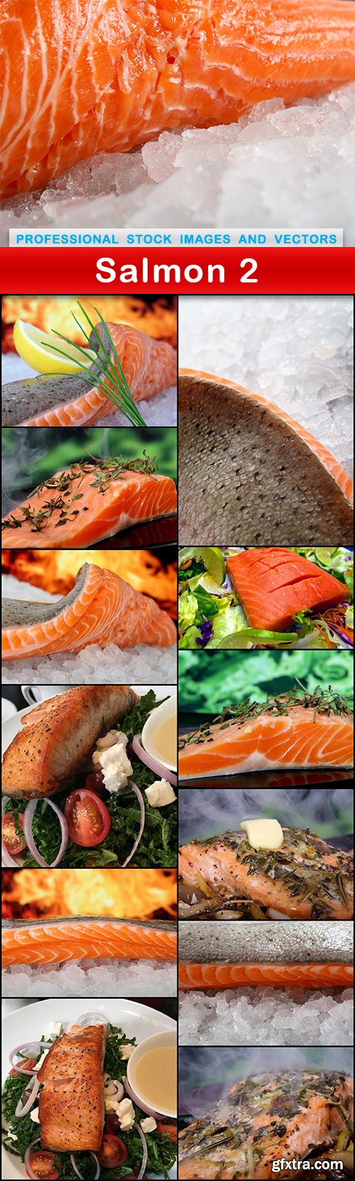 Salmon 2 - 13 UHQ JPEG