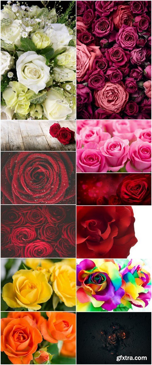 Roses Beautiful - 12 UHQ JPEG Stock Images