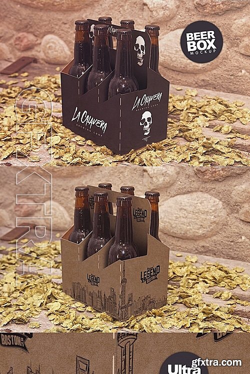 CM - 6 Pack Beer Box Mockup 1122928