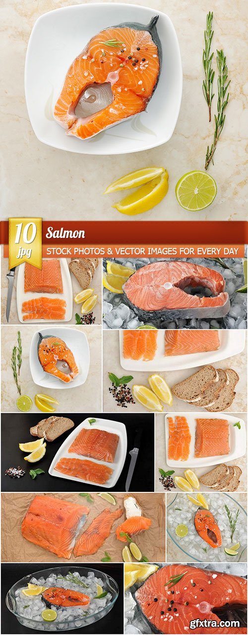 Salmon, 10 x UHQ JPEG