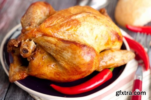 Collection roast chicken duck fish fender grill barbecue baked bird 25 HQ Jpeg