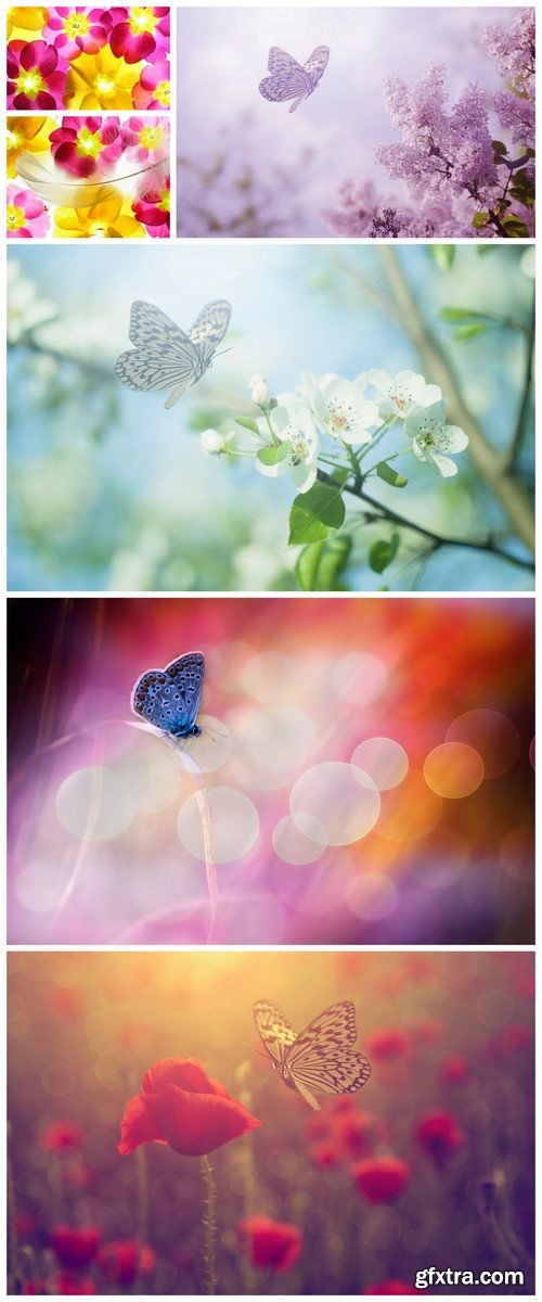 Beautiful blue butterfly, flowers background 6X JPEG