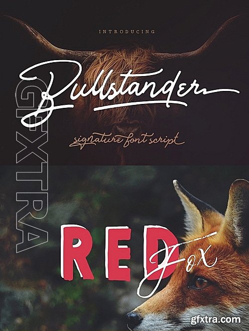 CM - Bullstander Font Set - 60% OFF 1123226