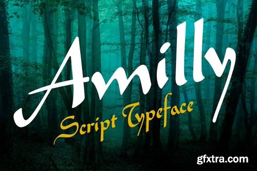 CreativeMarket Amilly Script 969227