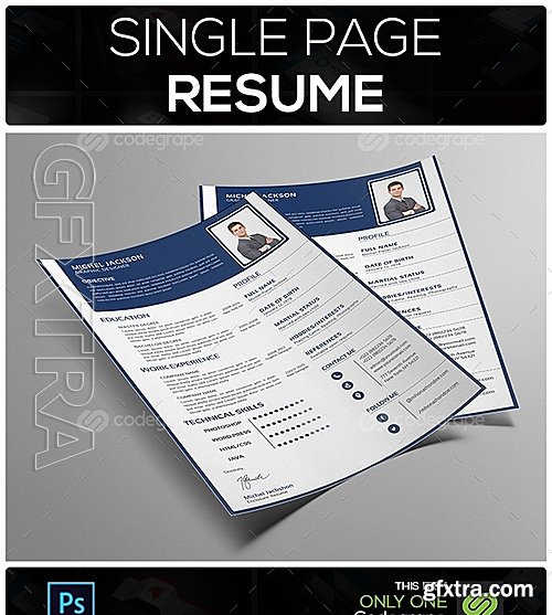 Single Page Resume 8863