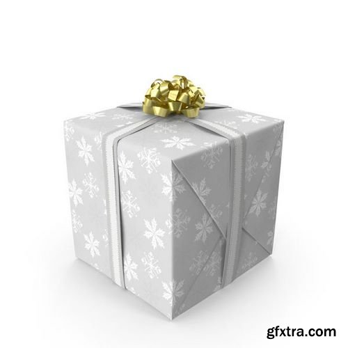 3D - Christmas Present
