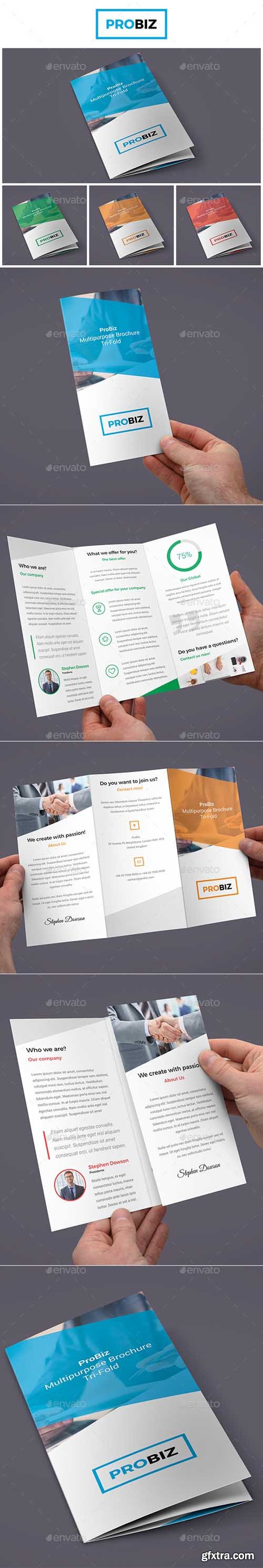 GR - ProBiz – Business and Corporate Brochure Tri-Fold 19017576