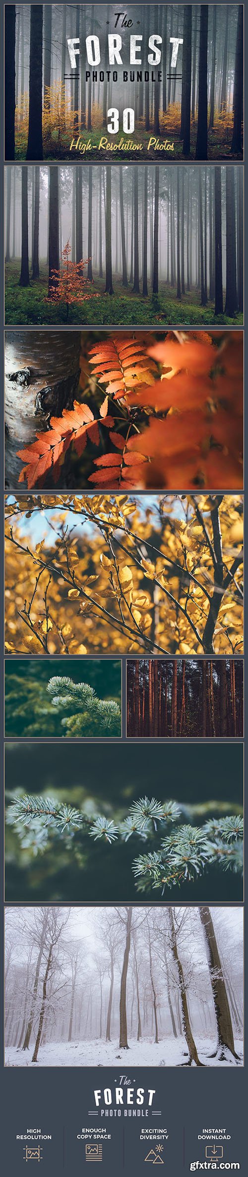 CreativeMarket The Forest Photo Bundle - 30 Photos 1123247