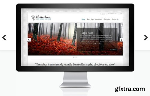 ElegantThemes - Chameleon v3.9.6 - WordPress Theme