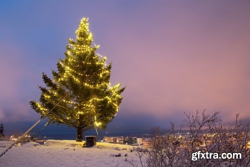 Collection of snow forest ice bush tree 25 HQ Jpeg