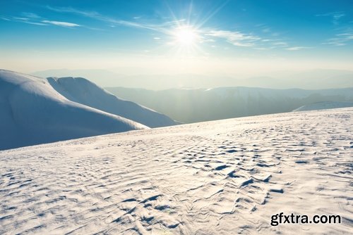 Collection of snow forest ice bush tree 25 HQ Jpeg