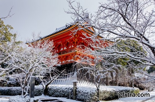 Collection of snow forest ice bush tree 25 HQ Jpeg