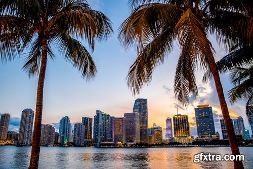 Miami Collection of palm sea ocean beach coast 25 HQ Jpeg