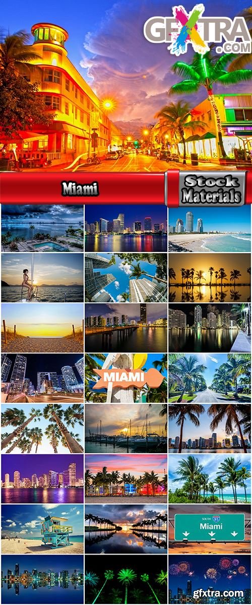 Miami Collection of palm sea ocean beach coast 25 HQ Jpeg