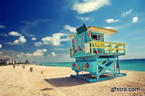 Miami Collection of palm sea ocean beach coast 25 HQ Jpeg