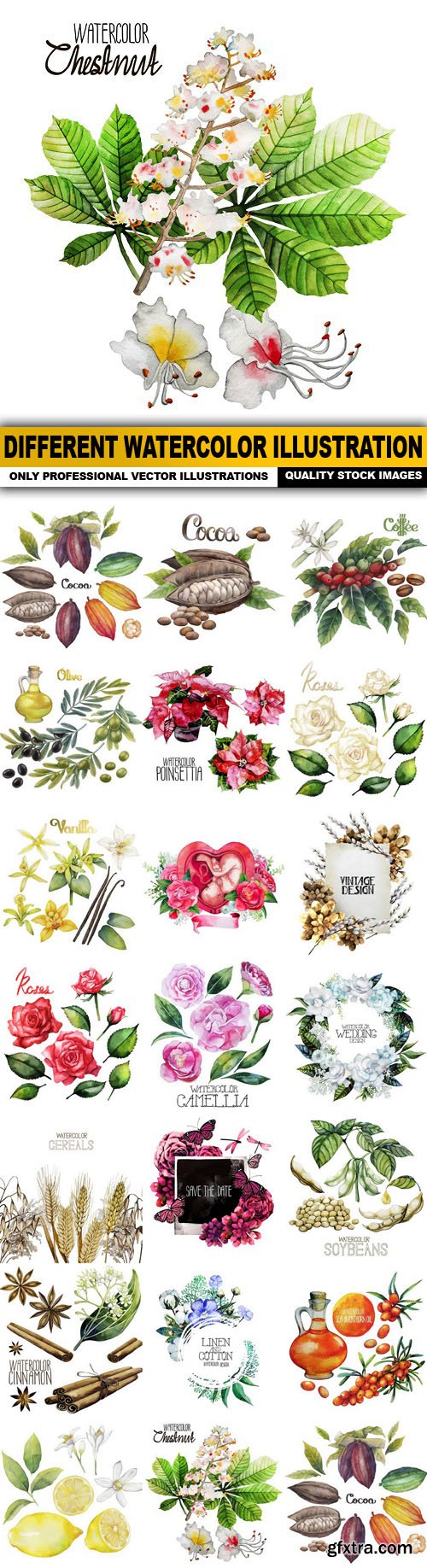 Different Watercolor Illustration - 20 Vector