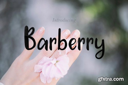 CreativeMarket Barberry Font + Extras 1123473