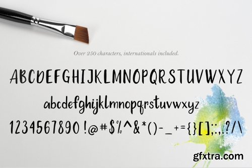 CreativeMarket Barberry Font + Extras 1123473