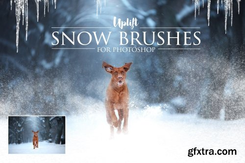 CreativeMarket 25 Snow Brushes for Photoshop 1120231