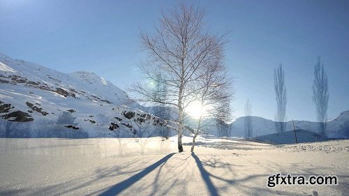 Snow winter landscape background time lapse tree silhouette