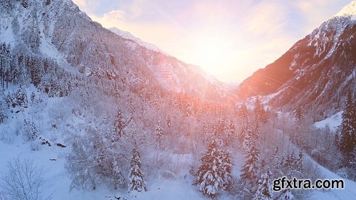 Snow winter landscape sunset dusk forest woods trees