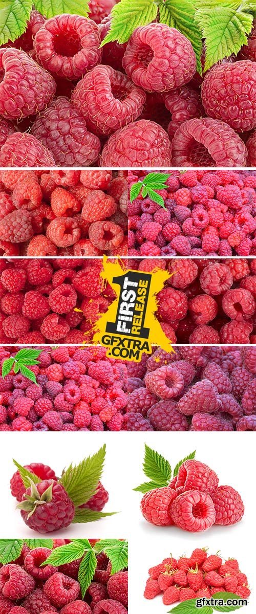 Stock Image Lose up shot of freshly picked Raspberries