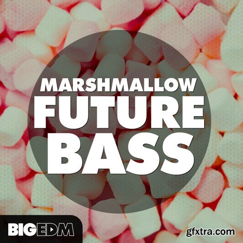 Big EDM Marshmallow Future Bass WAV MiDi Sylenth1 Massive and SERUM Presets-FANTASTiC