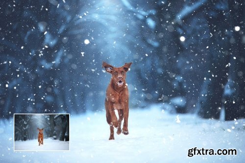 CreativeMarket Let It Snow! Photoshop Action 1120372