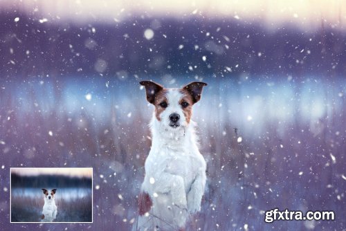 CreativeMarket Let It Snow! Photoshop Action 1120372