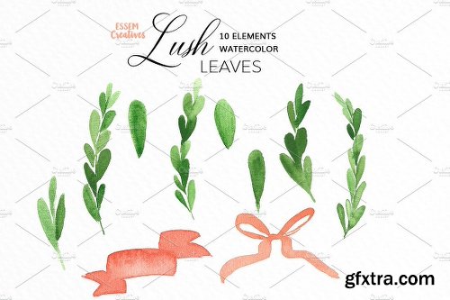 CreativeMarket Watercolor Leaves & Wreaths - Olive 1121993