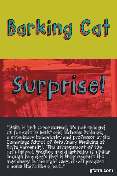 Barking Cat font