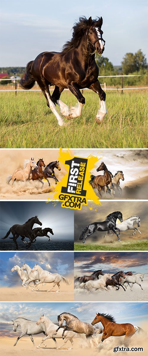 Stock Image Hree horse run in desert sand storm