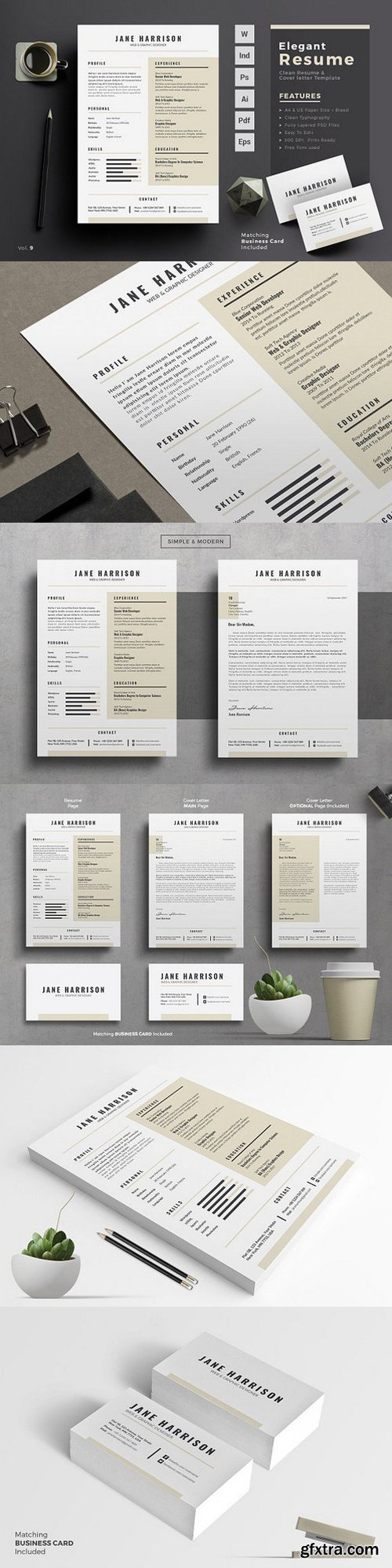 CM - Professional Resume Template 874521