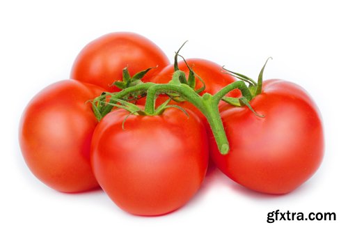 Vegetables - UHQ Stock Photo