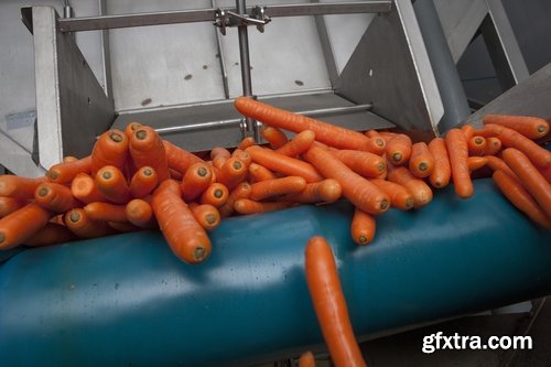 Collection of carrot juice soup vitamin drink 25 HQ Jpeg