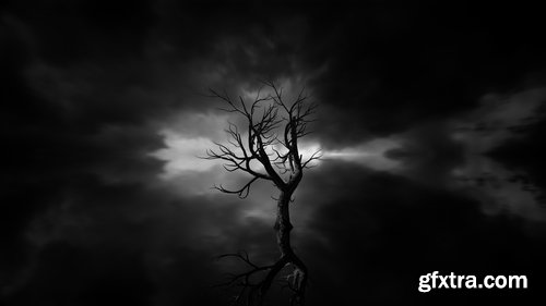 Collection of dark night light conceptual illustration 25 HQ Jpeg