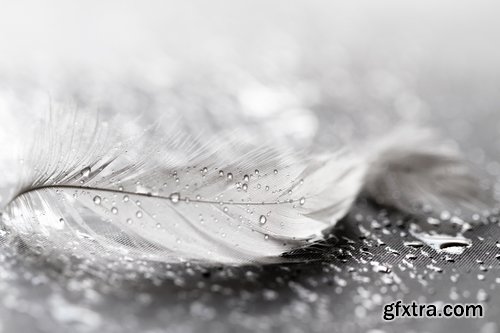 Collection of drop of liquid water dew background is desktop wallpaper 25 HQ Jpeg