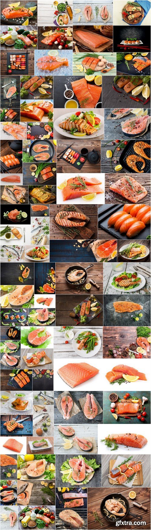 Raw salmon filet, stake and sushi - 83xUHQ JPEG