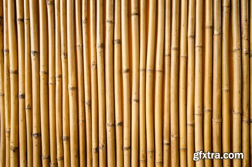 Bamboo Collection - 50xUHQ JPEG