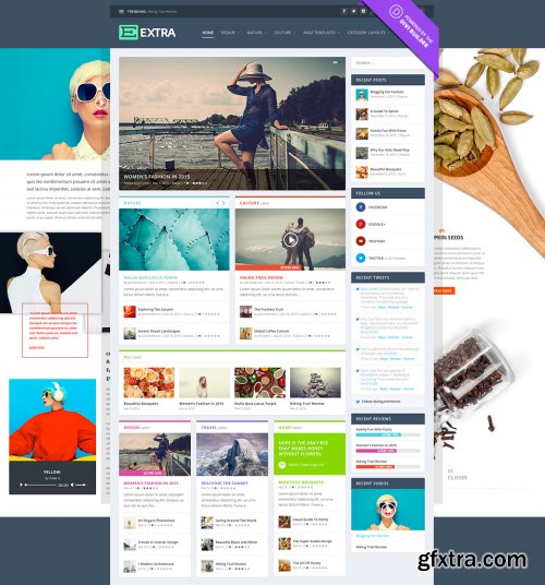 Extra 2.0.23 WP Theme