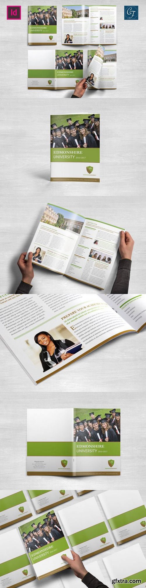 CM - Educational Brochure Template 768286